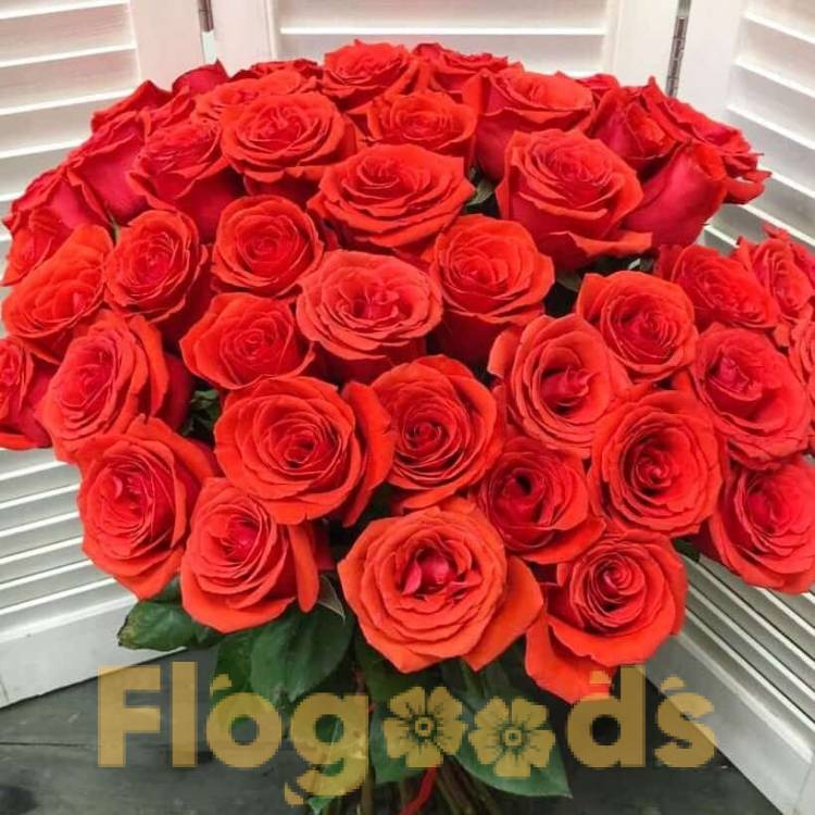 51 красная роза за 19 554 руб.